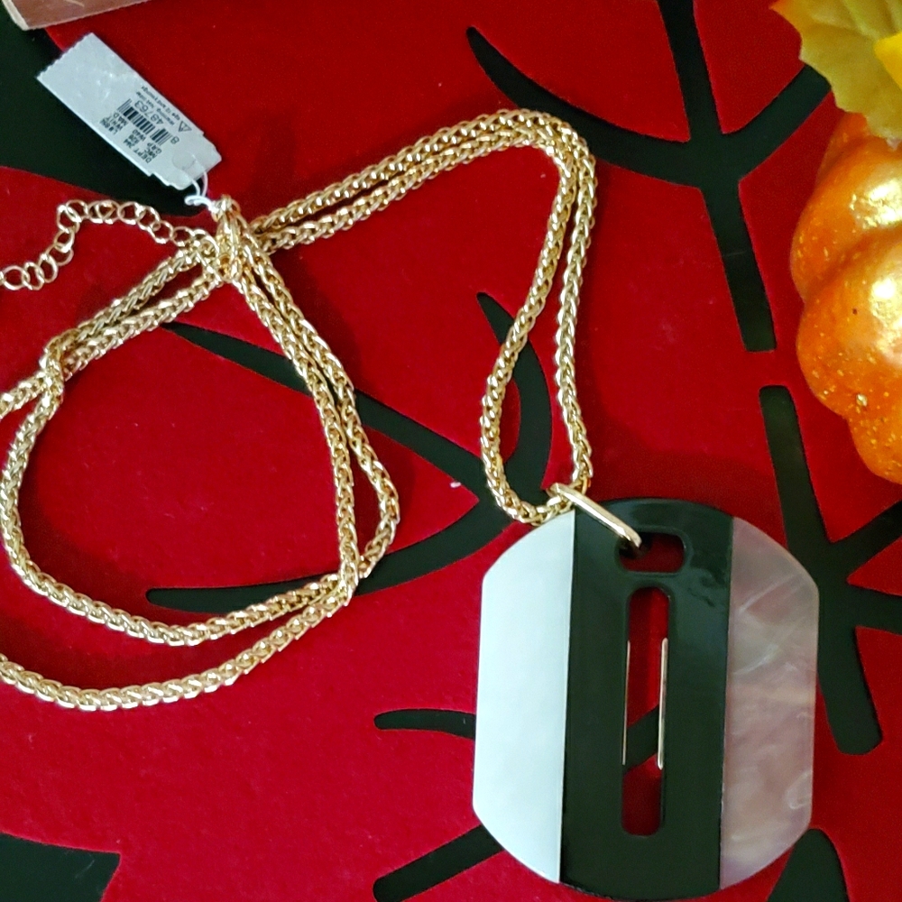 2/$10 💕  Landry Large Pendant Long Chain Necklace